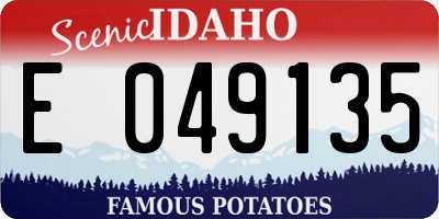 ID license plate E049135