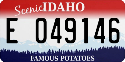 ID license plate E049146