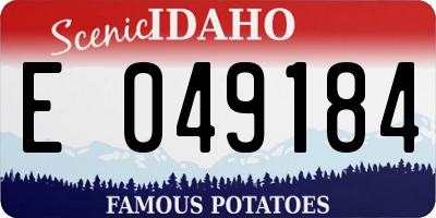ID license plate E049184