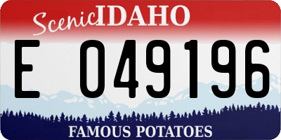 ID license plate E049196