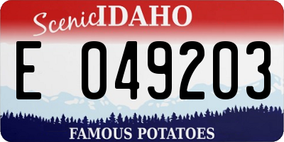 ID license plate E049203