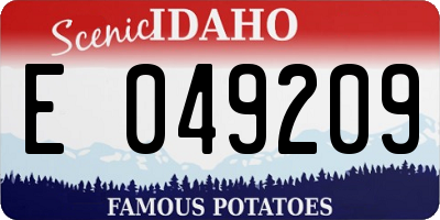 ID license plate E049209