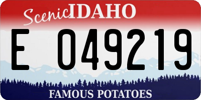 ID license plate E049219