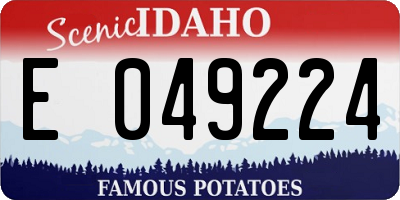 ID license plate E049224