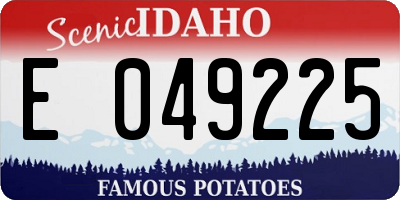 ID license plate E049225