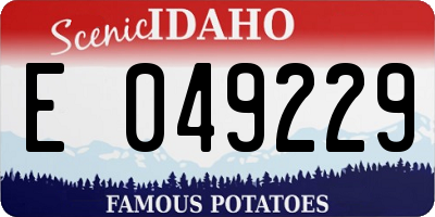 ID license plate E049229