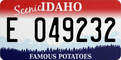 ID license plate E049232