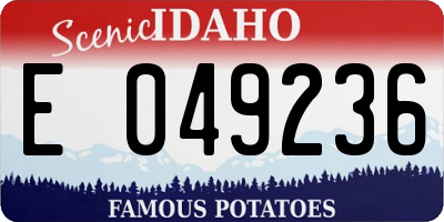 ID license plate E049236