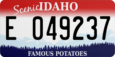 ID license plate E049237