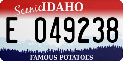 ID license plate E049238