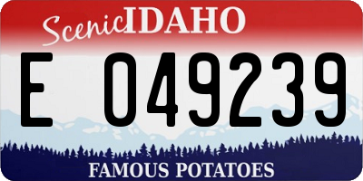 ID license plate E049239