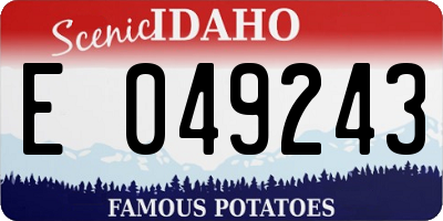 ID license plate E049243