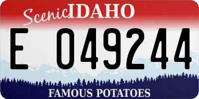 ID license plate E049244