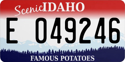 ID license plate E049246