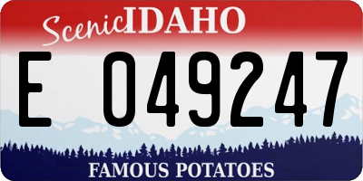 ID license plate E049247