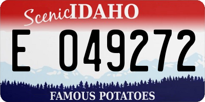 ID license plate E049272