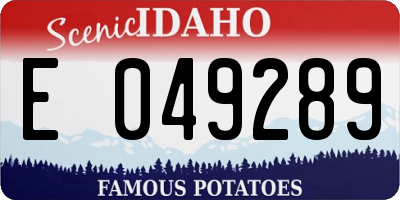 ID license plate E049289