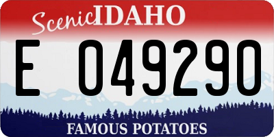 ID license plate E049290