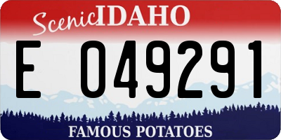 ID license plate E049291