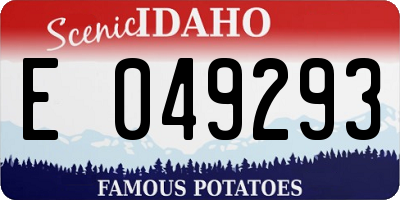 ID license plate E049293