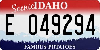 ID license plate E049294