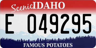 ID license plate E049295