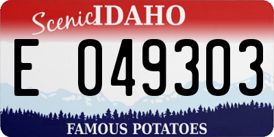 ID license plate E049303