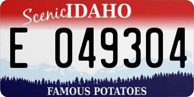 ID license plate E049304