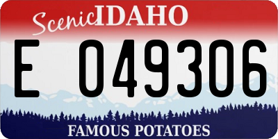 ID license plate E049306