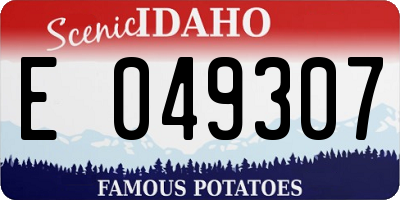 ID license plate E049307