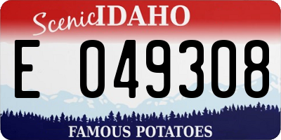ID license plate E049308