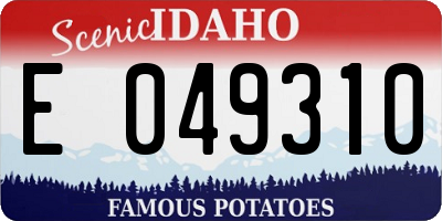 ID license plate E049310