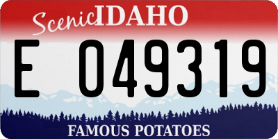 ID license plate E049319