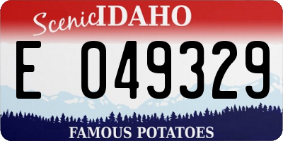 ID license plate E049329