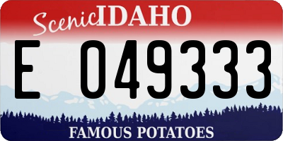 ID license plate E049333