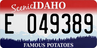 ID license plate E049389
