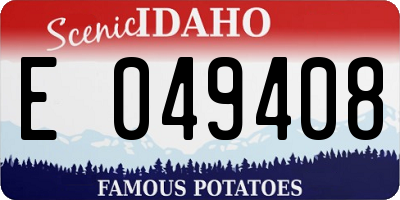 ID license plate E049408