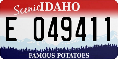 ID license plate E049411