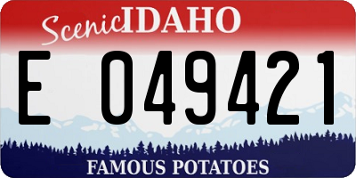 ID license plate E049421