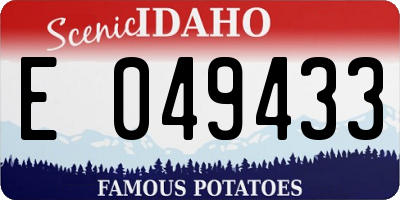 ID license plate E049433