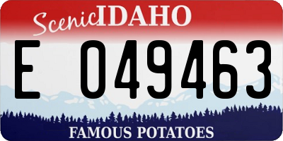 ID license plate E049463