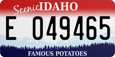 ID license plate E049465