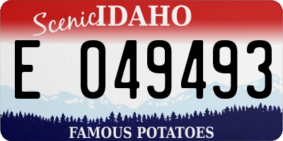 ID license plate E049493