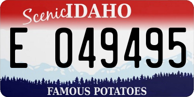 ID license plate E049495