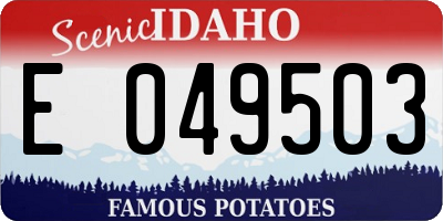 ID license plate E049503