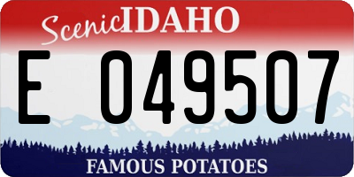 ID license plate E049507