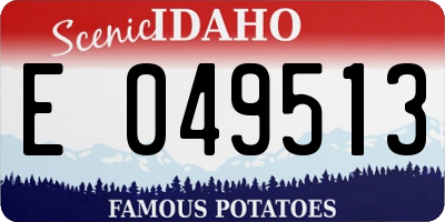 ID license plate E049513