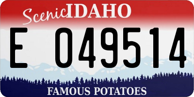 ID license plate E049514