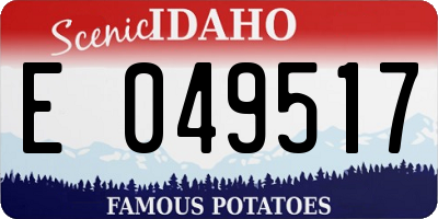 ID license plate E049517