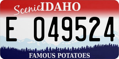 ID license plate E049524
